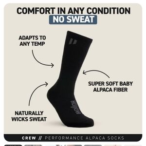 HOLLOW PERFORMANCE ALPACA SOCKS- CREW- BLACK- M